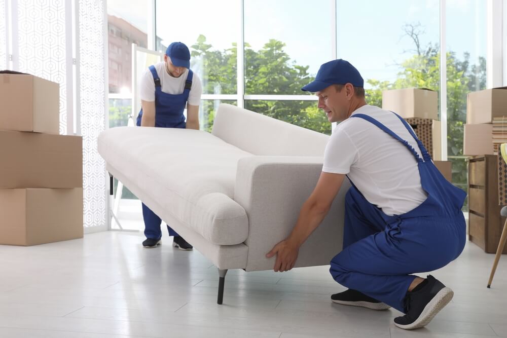 Experienced Professionals Movers